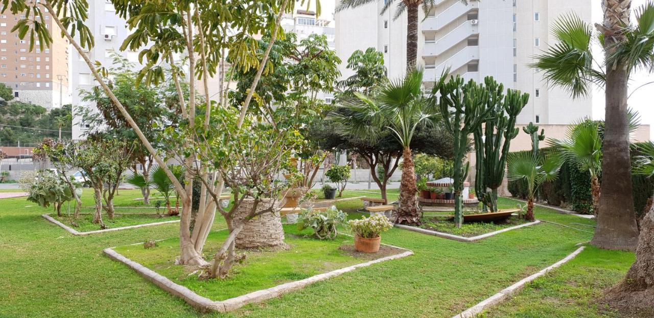 Fmm Estudios Hannibal Benidorm Playa Cala de Finestrat Exteriör bild